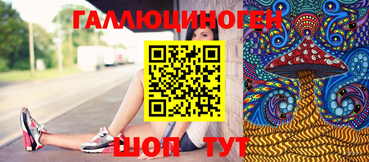 Галлюциногенные грибы Magic Shrooms  Псилоцибиновые грибы GOLDEN TEACHER  Новокубанск  Вход с VPN 